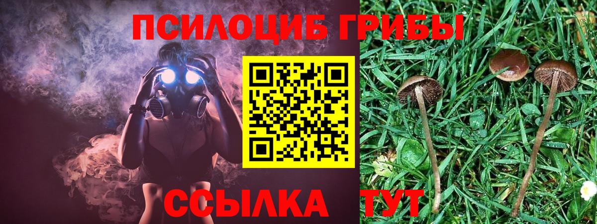 Похвистнево  Псилоцибиновые грибы прущие грибы  Вход с VPN 